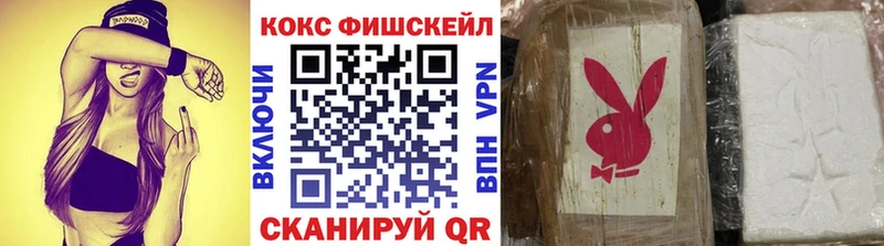 Cocaine Fish Scale  Купить  Кемь 