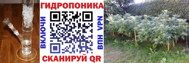 Купить закладки  Кемь  Бошки марихуана VHQ 